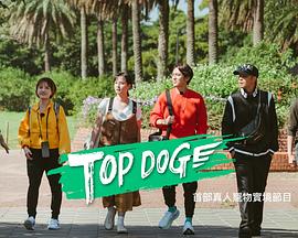 糖心vlog视频《TOP DOG》免费在线观看